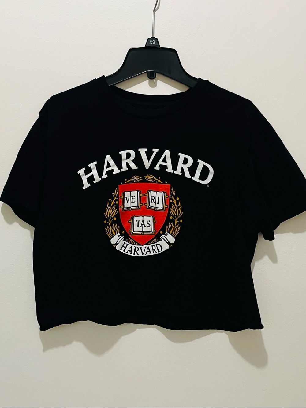 Harvard University Graphic T / Cropped/ Black Fabric / Medium